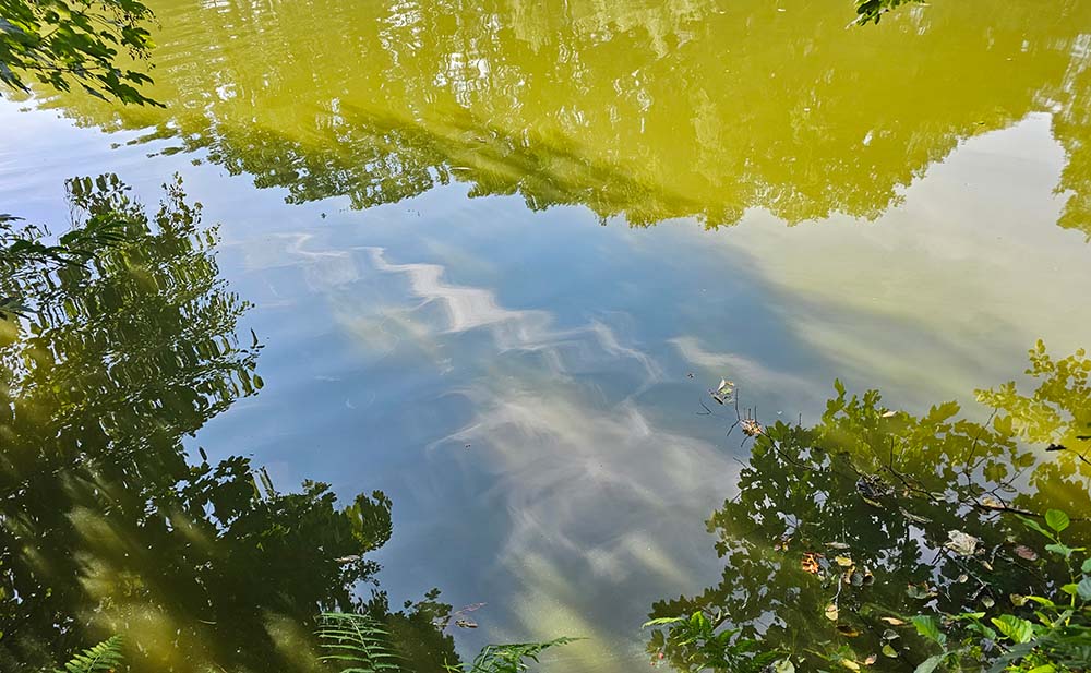 Artikelbild Aktuelles Spiegelungen Artikelbild Aktuelles Spiegelungen
