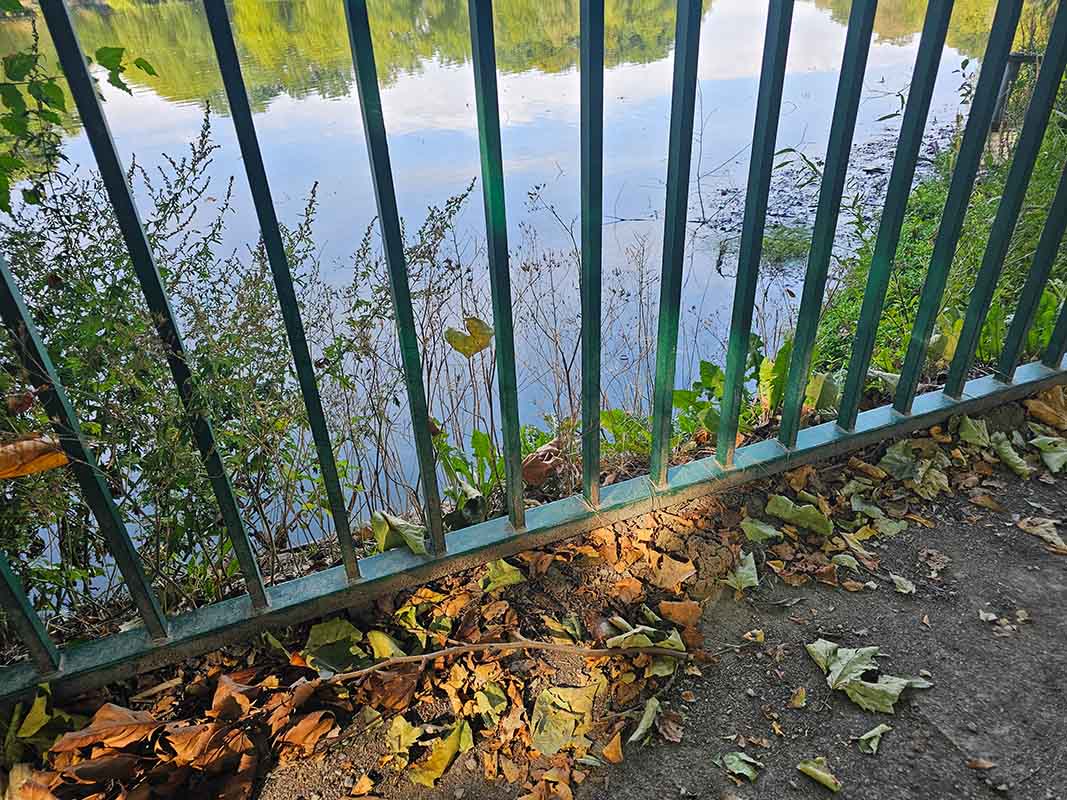 Herbstlaub und Geländer am Ufer