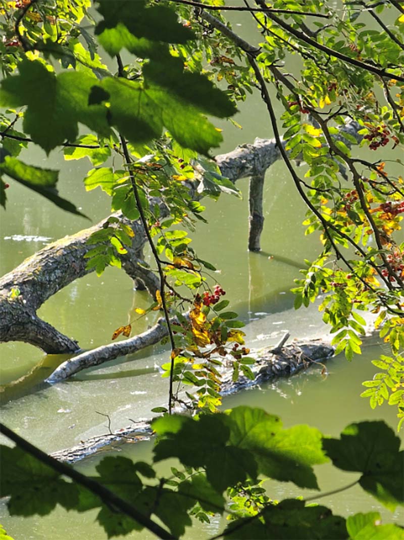 Neue Wege